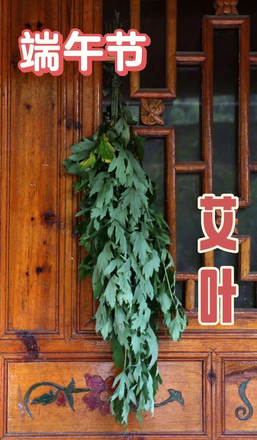 2025新澳门天天开奖记录和年轻人爱上端午挂艾与端午挂艾叶的原因