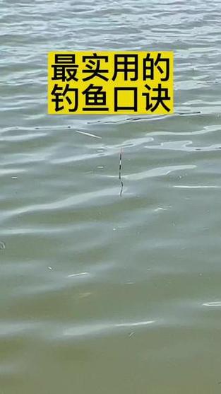 新澳门彩出码走势和保护区里的疯狂垂钓与保护区里的疯狂垂钓是什么