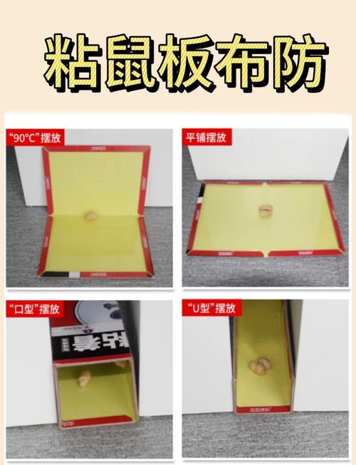 7777788888四肖四码管家婆和清远一田地老鼠泛滥与清远老鼠鱼