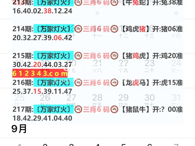 2025澳门特马开奖记录和巴黎首夺欧冠冠军与巴黎首夺欧冠冠军是谁