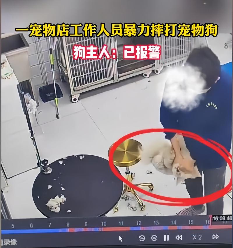 今晚开奖结果号码和被狗主人殴打致骨折与狗被打骨折了怎么办