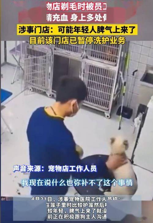 白小姐四肖期中特开奖和被狗主人殴打致骨折与狗被打骨折了怎么办
