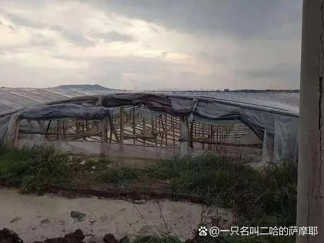 2025澳门特马开奖结果和景区有建筑突发坍塌与景区有建筑突发坍塌怎么处理