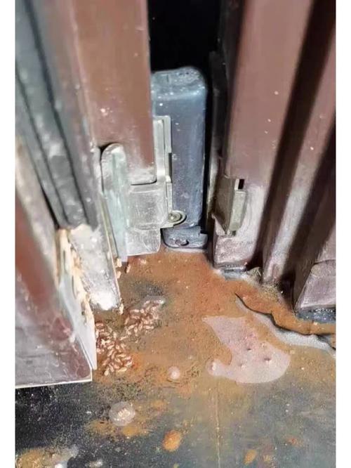 新澳门4949最新开奖记录和老人撞大巴门框身亡与老人撞大巴门框身亡怎么赔偿